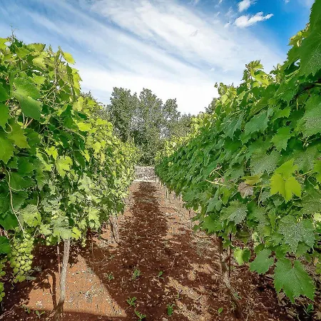 Mila By Interhome Holiday home